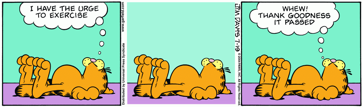 Garfield, July 19, 2004