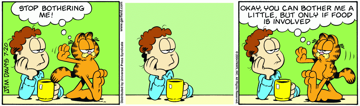 Garfield, July 20, 2004