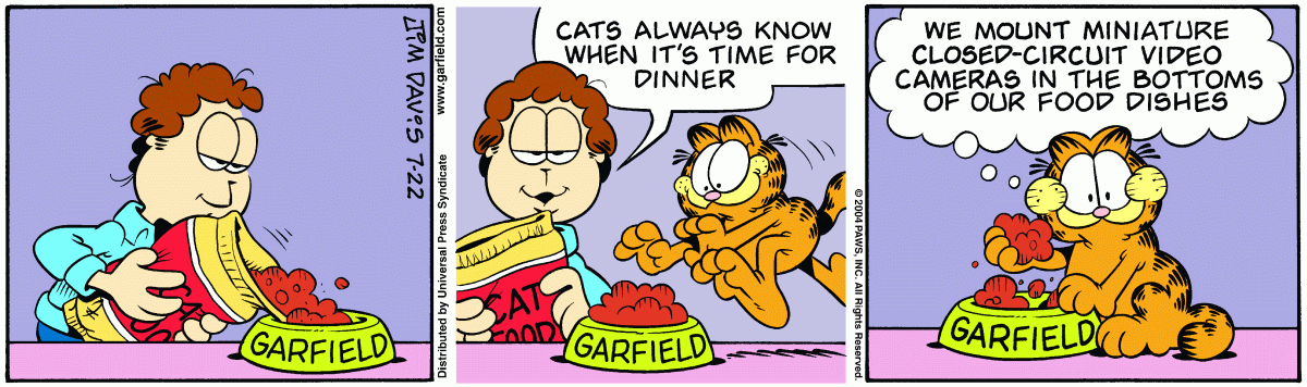 Garfield, July 22, 2004