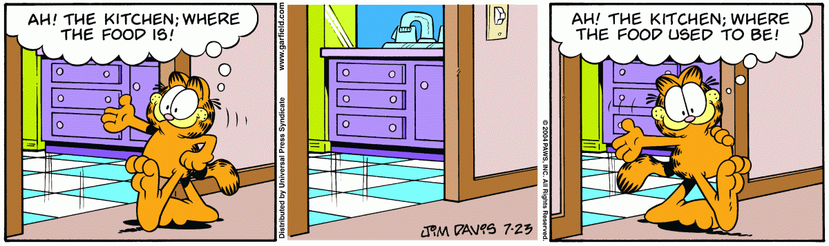 Garfield, July 23, 2004