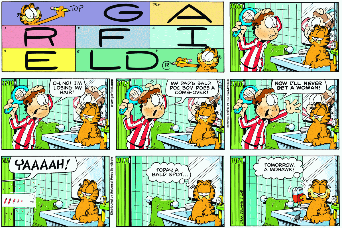 Garfield, July 25, 2004