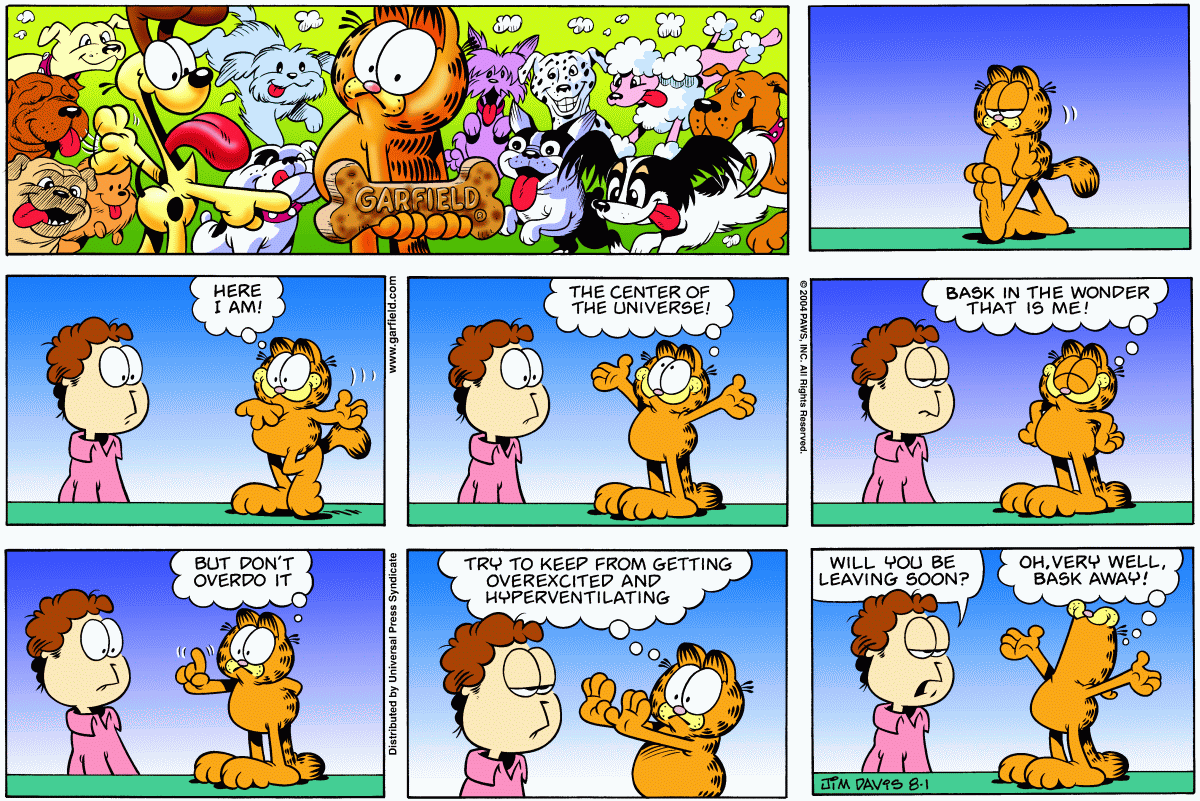 Garfield, August 1, 2004