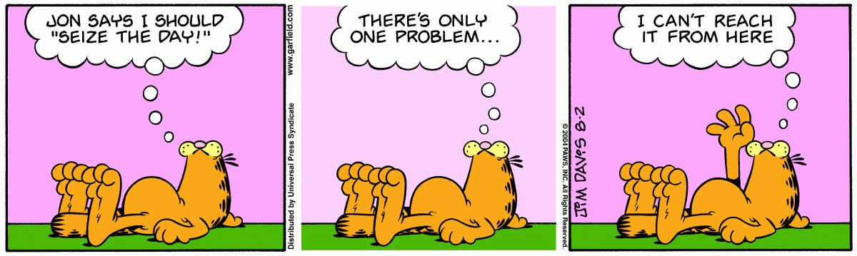 Garfield, August 2, 2004