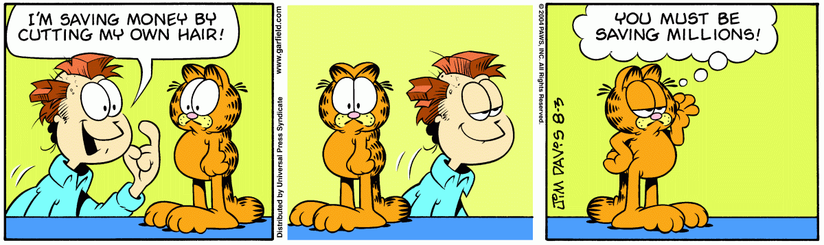 Garfield, August 3, 2004