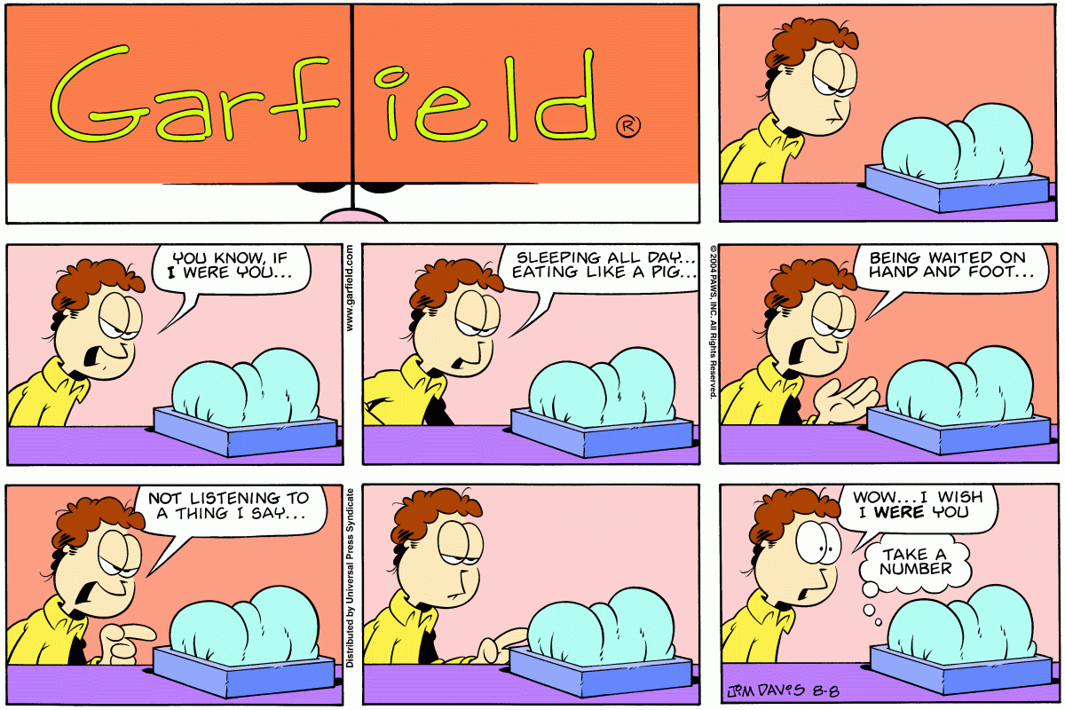 Garfield, August 8, 2004