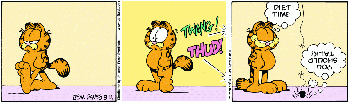 Garfield, August 11, 2004
