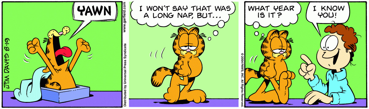Garfield, August 19, 2004