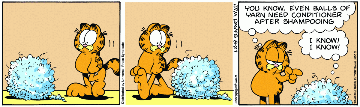 Garfield, August 27, 2004
