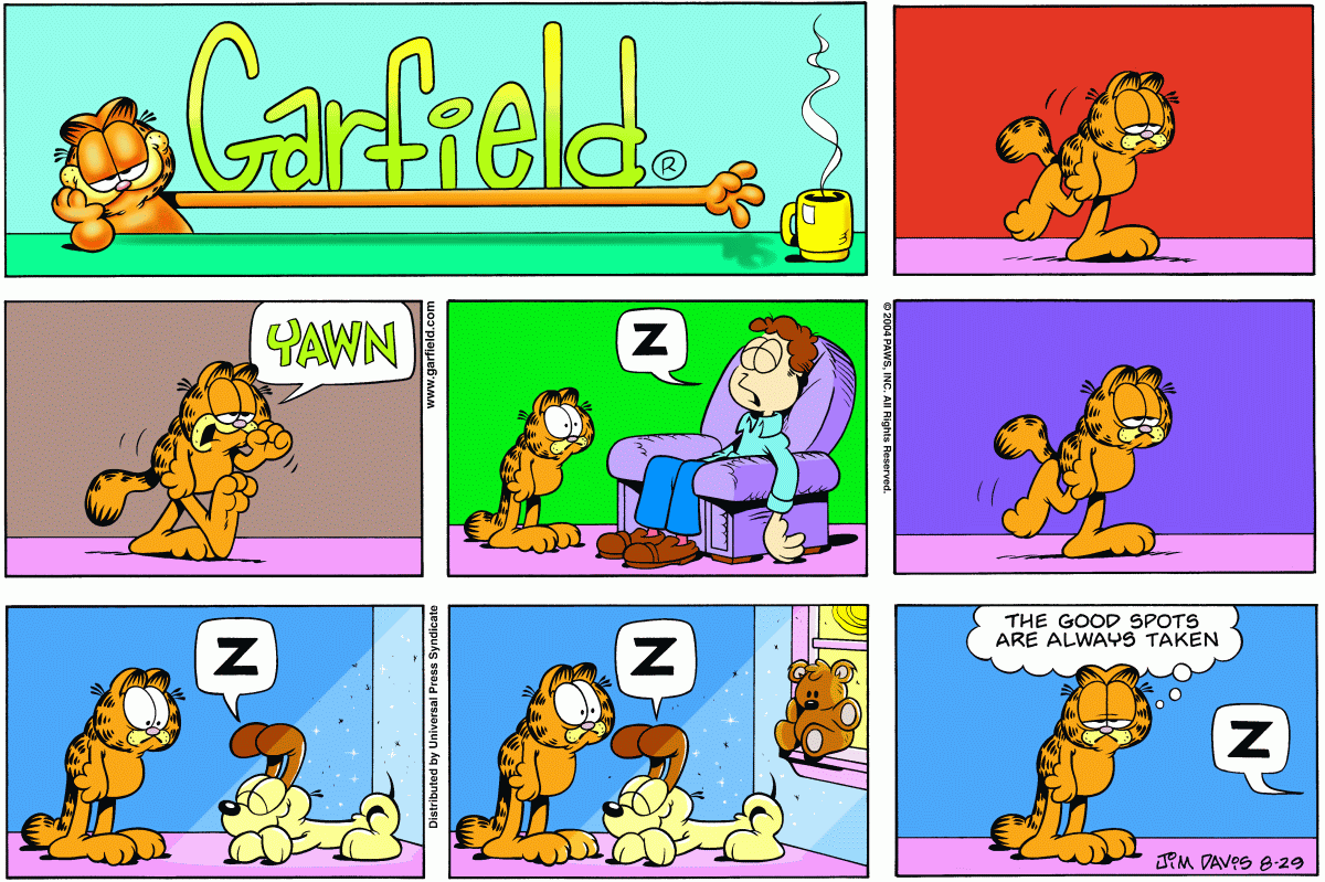 Garfield, August 29, 2004