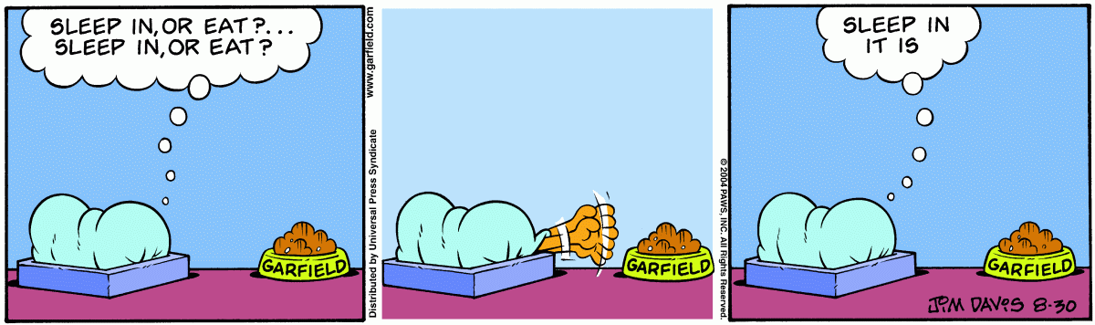 Garfield, August 30, 2004