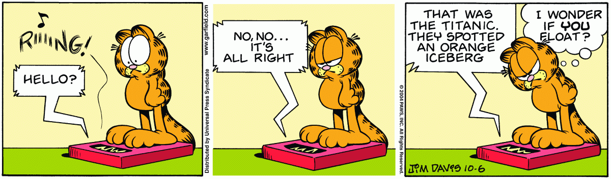 Garfield, October 6, 2004