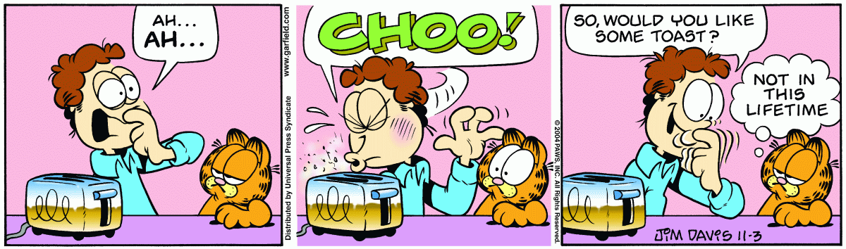 Garfield, November 3, 2004