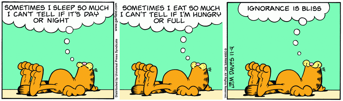 Garfield, November 4, 2004