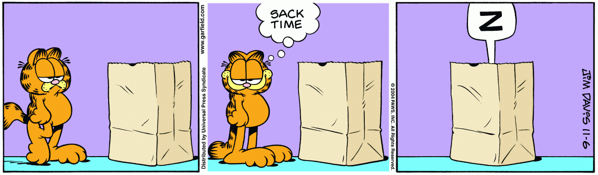 Garfield, November 6, 2004