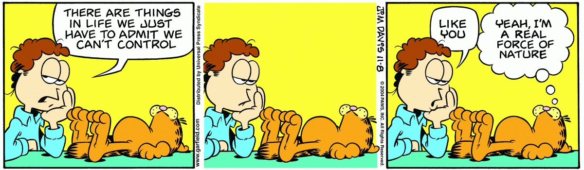 Garfield, November 8, 2004