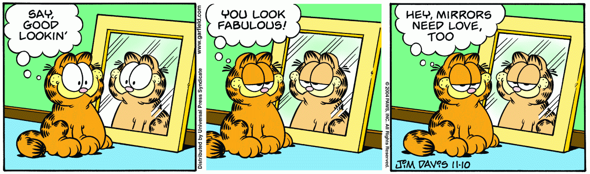 Garfield, November 10, 2004