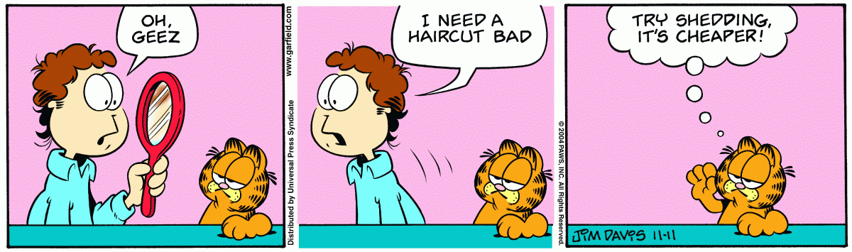 Garfield, November 11, 2004
