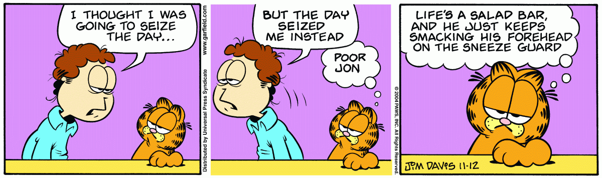 Garfield, November 12, 2004