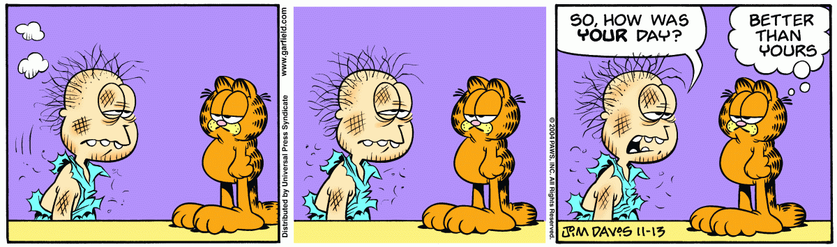 Garfield, November 13, 2004