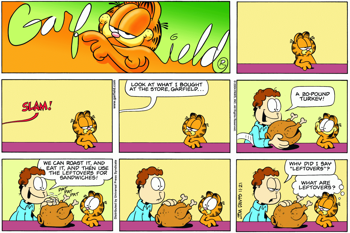 Garfield, November 21, 2004