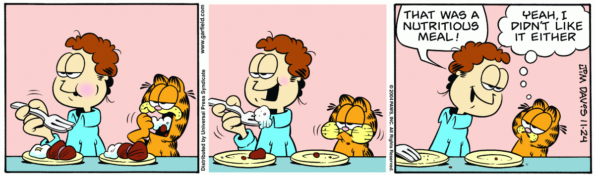 Garfield, November 24, 2004