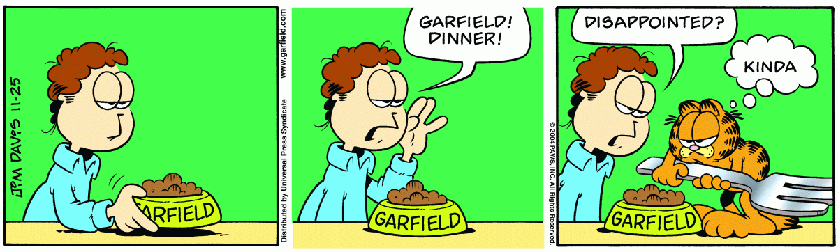 Garfield, November 25, 2004