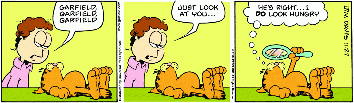 Garfield, November 27, 2004
