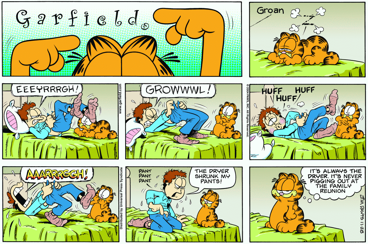 Garfield, November 28, 2004