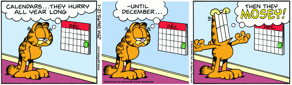 Garfield, December 1, 2004