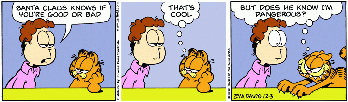 Garfield, December 3, 2004