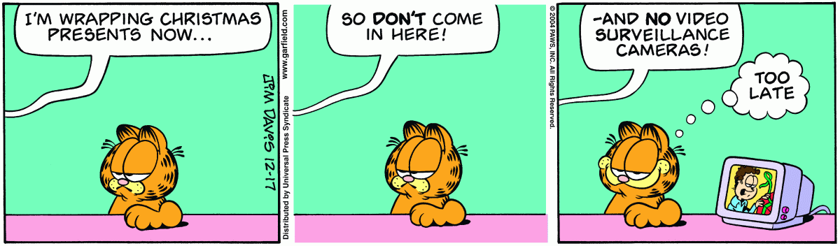 Garfield, December 17, 2004