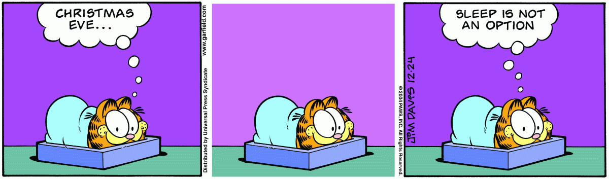 Garfield, December 24, 2004