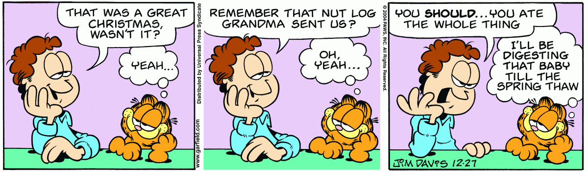 Garfield, December 27, 2004