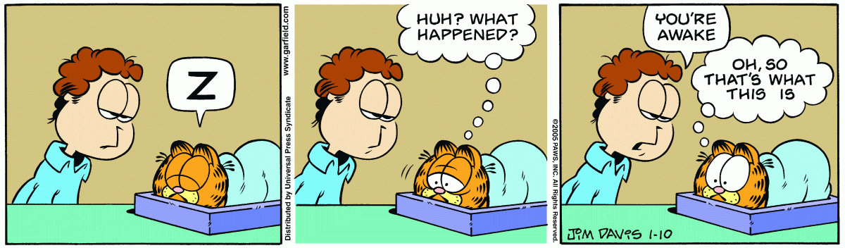 Garfield, January 10, 2005