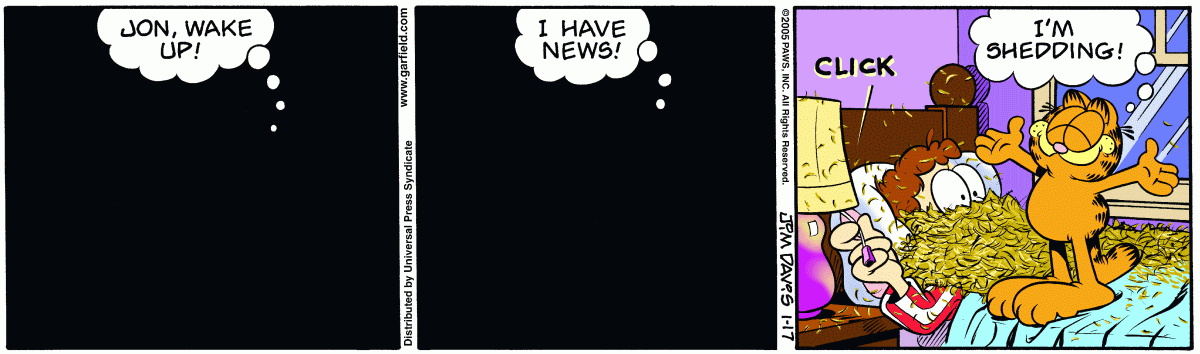 Garfield, January 17, 2005