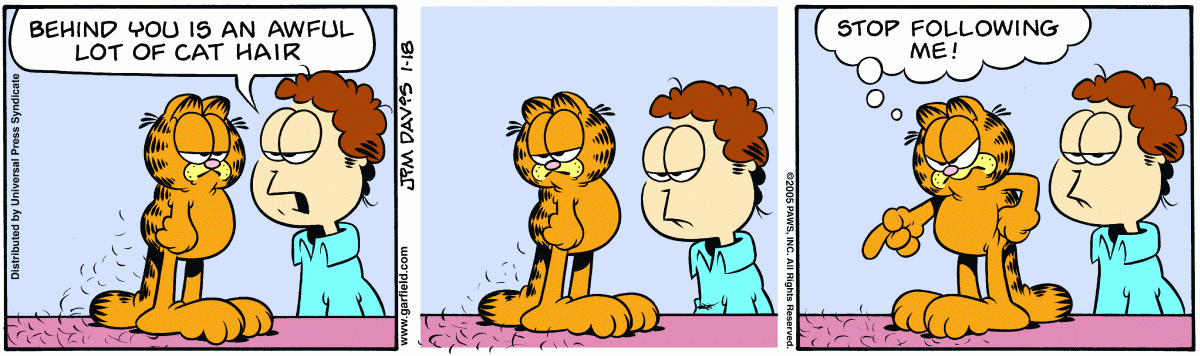 Garfield, January 18, 2005