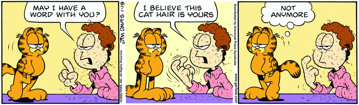 Garfield, January 19, 2005