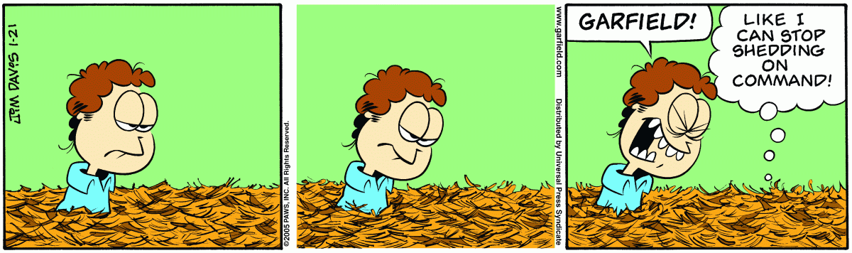 Garfield, January 21, 2005