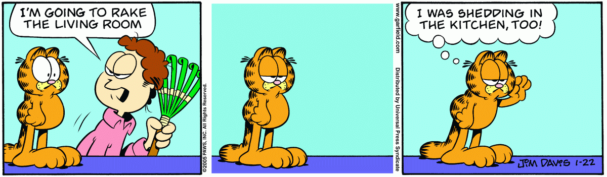 Garfield, January 22, 2005