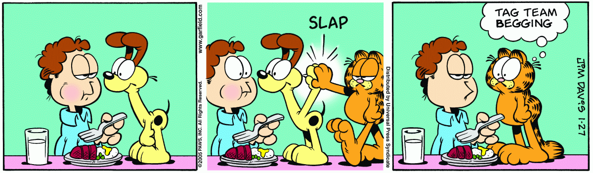 Garfield, January 27, 2005