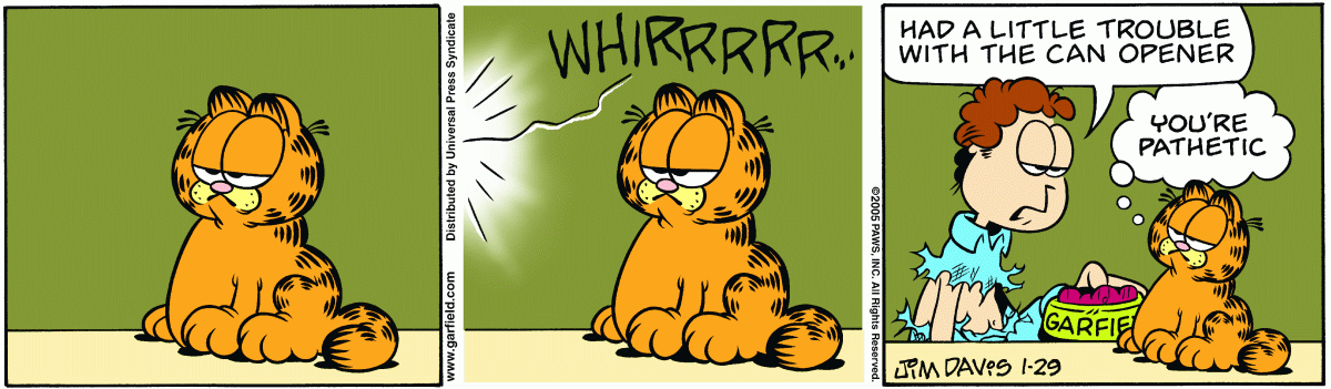 Garfield, January 29, 2005