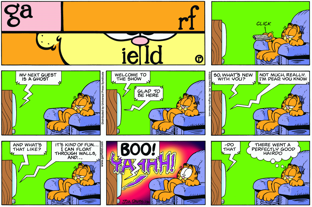 Garfield, January 30, 2005