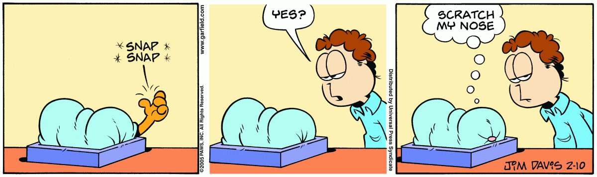 Garfield, February 10, 2005