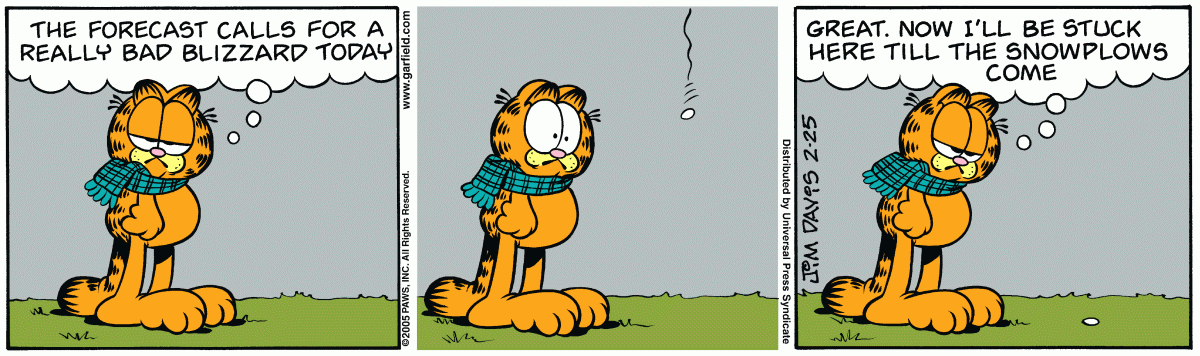 Garfield, February 25, 2005