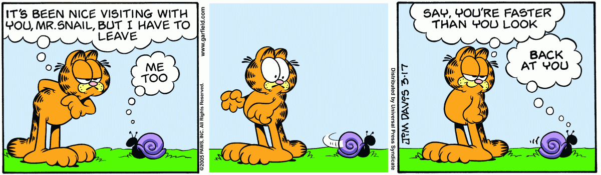 Garfield, March 17, 2005