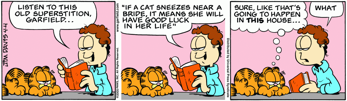 Garfield, April 4, 2005
