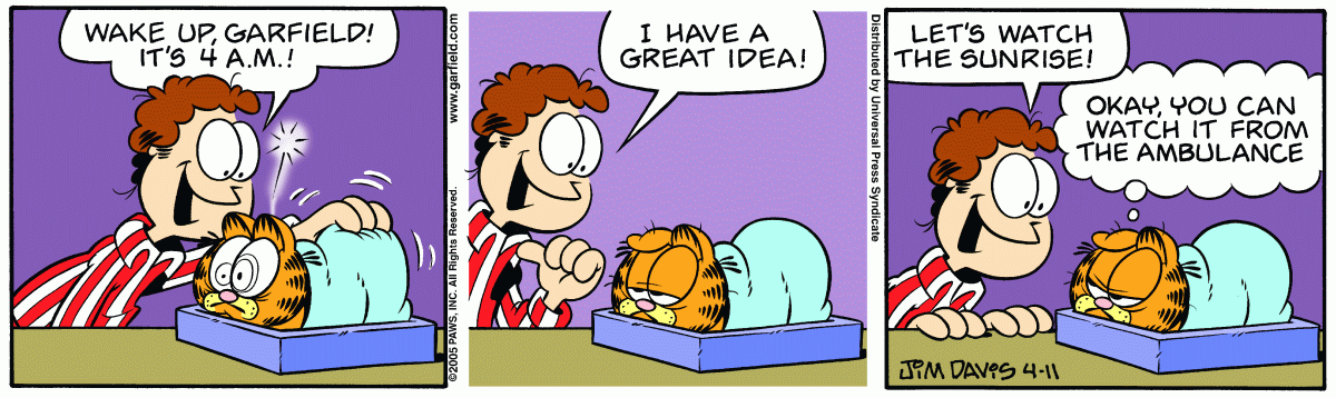 Garfield, April 11, 2005
