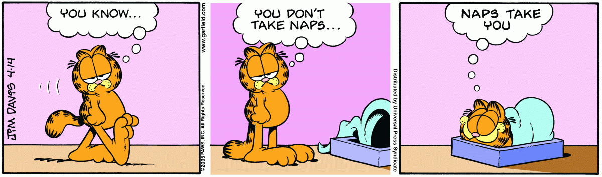Garfield, April 14, 2005