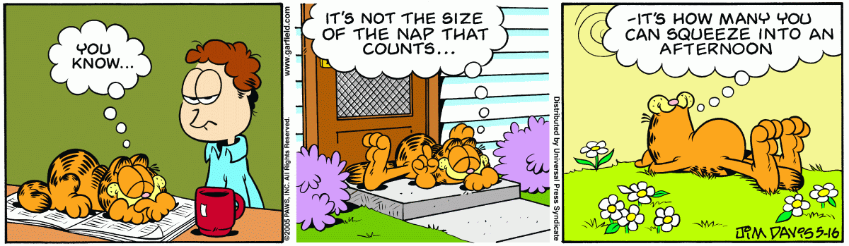 Garfield, May 16, 2005