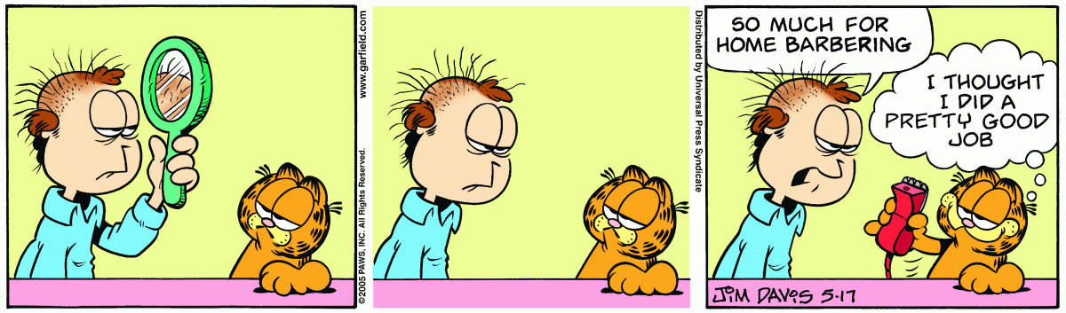 Garfield, May 17, 2005